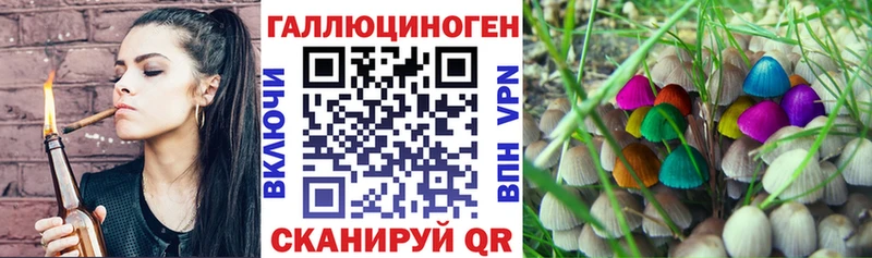 Псилоцибиновые грибы Magic Shrooms  мега ссылка  Тында 