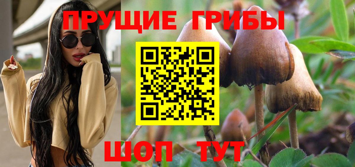 Тында  Псилоцибиновые грибы Magic Shrooms  Вход с VPN 